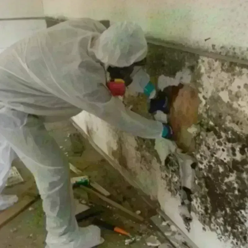 Mold Remediation and Removal in Deuel County, SD