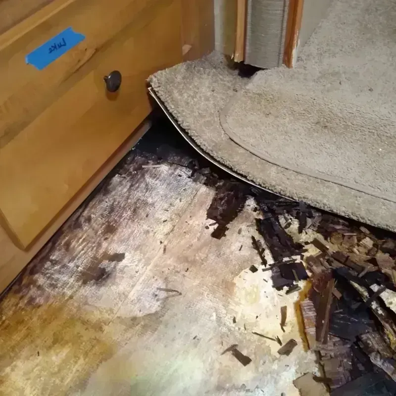 Best Wood Floor Water Damage Service in Deuel County, SD